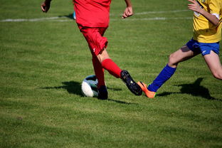 开云体育下载-世界围棋赛多国选手展现东亚围棋影响力，东南亚围棋  第3张